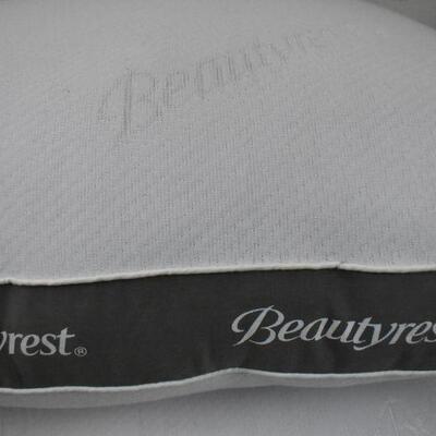 Beautyrest Silver Luxurious Spa Comfort Pillow Set of 2, Queen Size - New