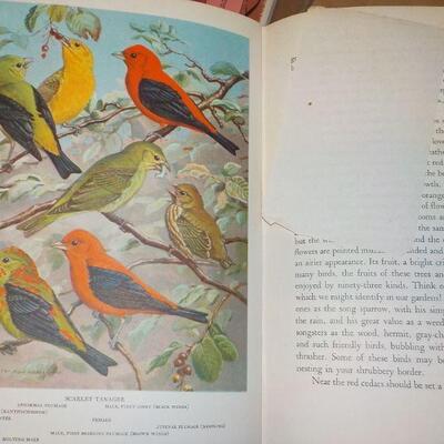 " Birds in the Garden and how to attract them" By Margaret McKenny 