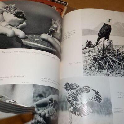 " Birds in the Garden and how to attract them" By Margaret McKenny 