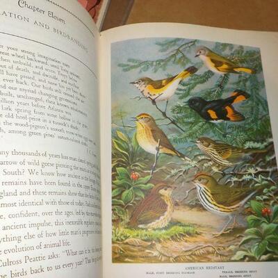 " Birds in the Garden and how to attract them" By Margaret McKenny 