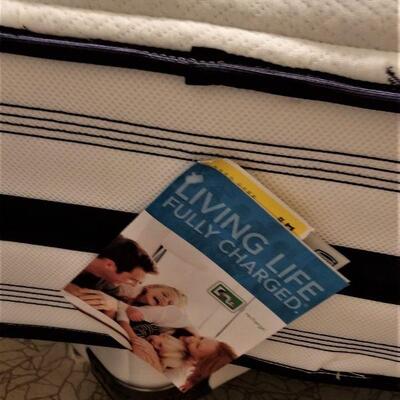 Lot #62  Double/Full Bed set with Super Clean Luxury Mattress