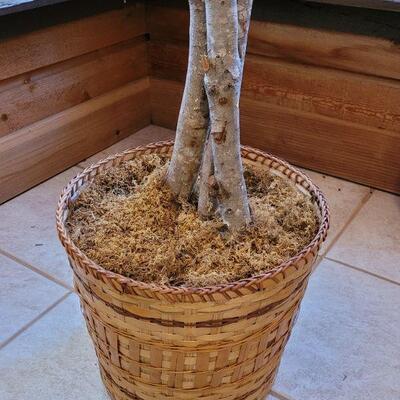 Lot 163:  Handmade Silk Tree from Loveland 