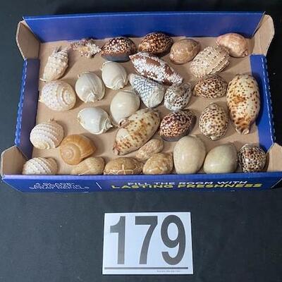 LOT#179D: Pre-1950 Seashells From SE Asia Lot #1