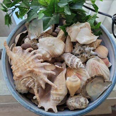 Lot 194: Ceramic Bowl Fountain with Shells (untested) 