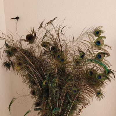 Lot 204: Peacock Feathers