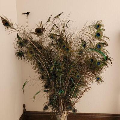 Lot 204: Peacock Feathers