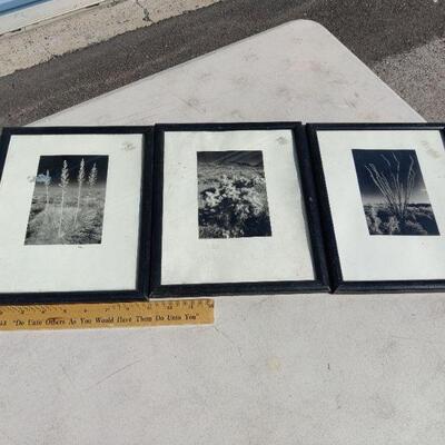 Pictures in frames 