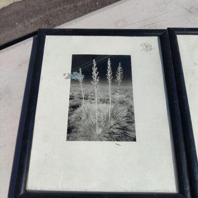 Pictures in frames 