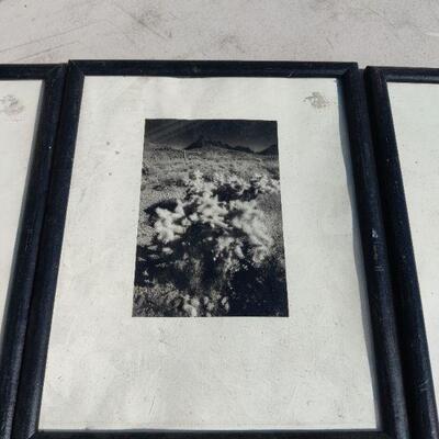 Pictures in frames 