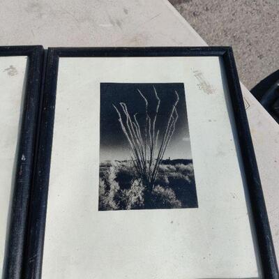 Pictures in frames 