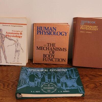 Lot 268: College Book Lot