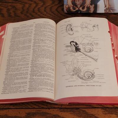 Lot 269: Medical Book Lot