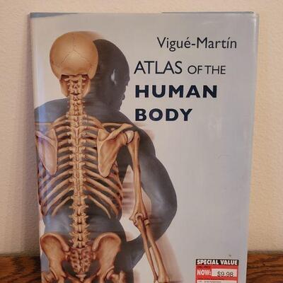 Lot 269: Medical Book Lot