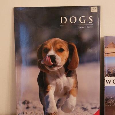 Lot 270: (2)  Extra Large Books