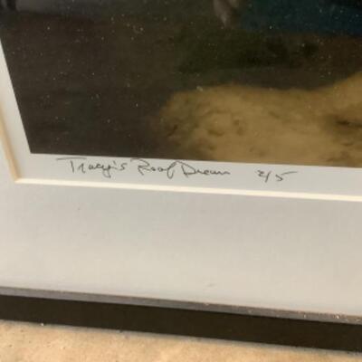 388 Jay Schadler â€œTracyâ€™s Roof Dreamâ€ Signed Framed Photograph