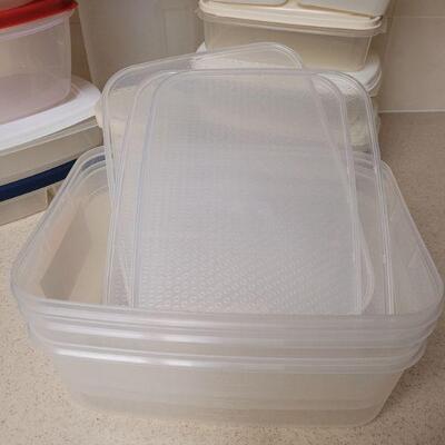 Lot 560: Plastic Storage Containers all with lids