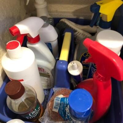 Lot 57. Large assortment of cleaning products, sponges, cloths, glasses, brushes, etc.--WAS $30â€“NOW $22.50