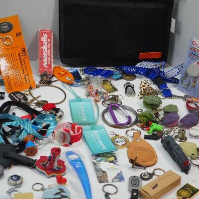 Lot 56 Keys and key chain collection