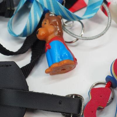 Lot 56 Keys and key chain collection