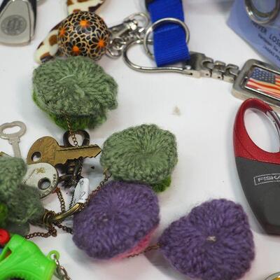 Lot 56 Keys and key chain collection