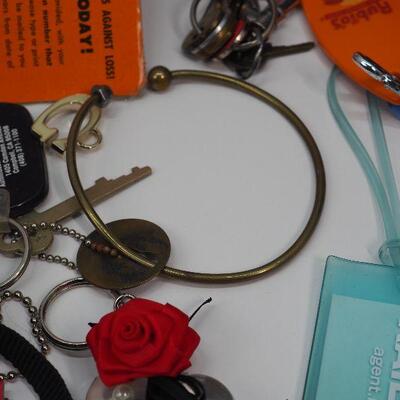 Lot 56 Keys and key chain collection
