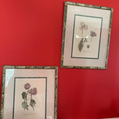 A217 Pair of Signed and Numbered Botanicals Print by R. Landernell 