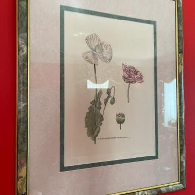 A217 Pair of Signed and Numbered Botanicals Print by R. Landernell 