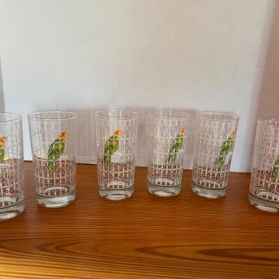 A241 Set of 6 Cora Parrot Glasses 