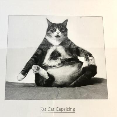 Fat Cat Capsizing