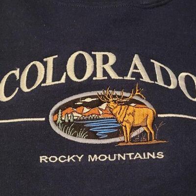Lot 1195: (2) Size Large Sweatshirts