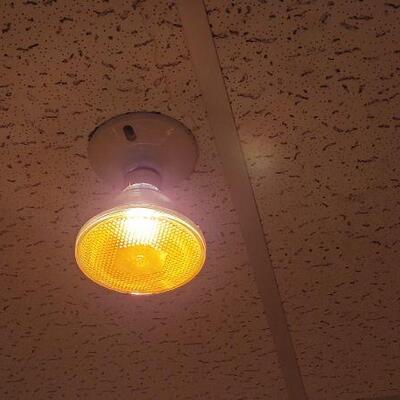 Lot 1321: (3) Colored Spotlight Bulbs 