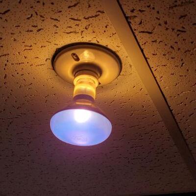 Lot 1321: (3) Colored Spotlight Bulbs 