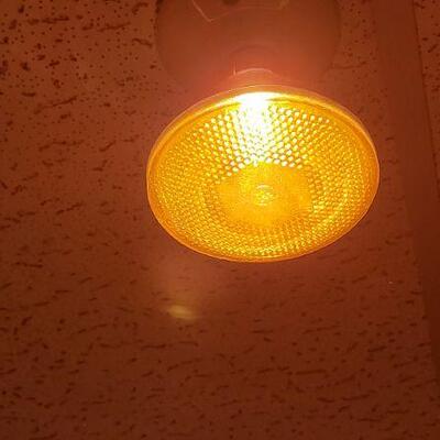 Lot 1321: (3) Colored Spotlight Bulbs 