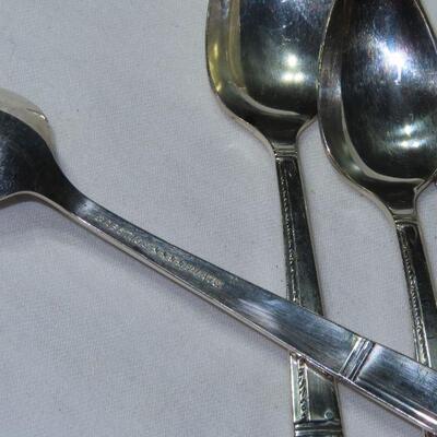 Prestige Spoons
