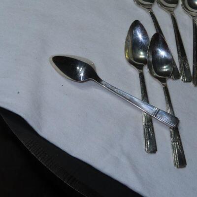 Prestige Spoons