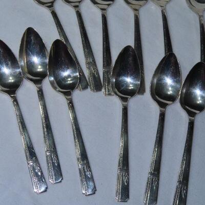 Prestige Spoons