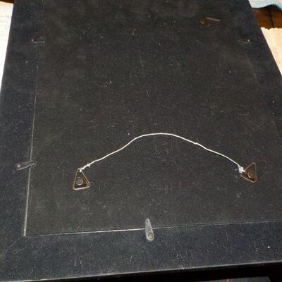 " Red Sox Mascot " : Wally" signed stunning frame.