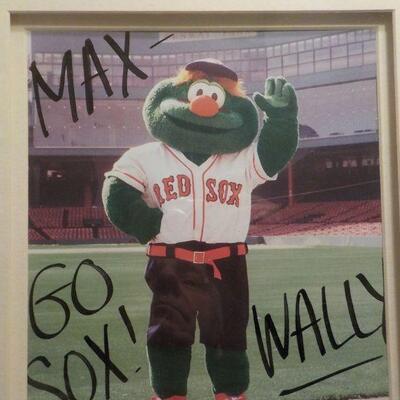 " Red Sox Mascot " : Wally" signed stunning frame.
