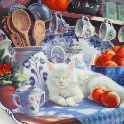 Lot 67 Kitties