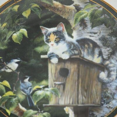 Lot 67 Kitties