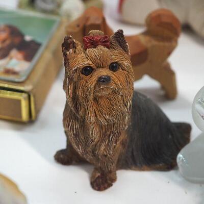 Lot 78 Dogs and a few  cats
