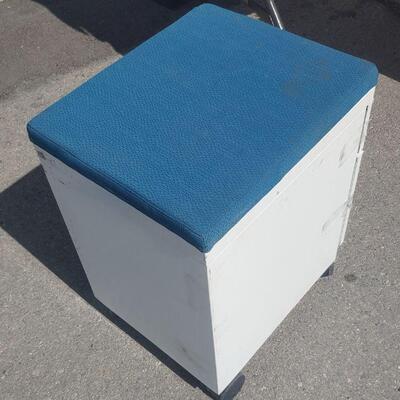 All metal rolling cart with cushion fee