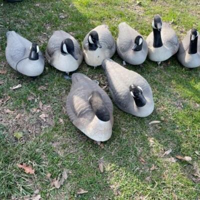 P639 Set 8 of Plastic Goose Floating Decoys with weights