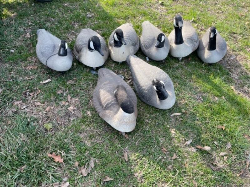 P639 Set 8 of Plastic Goose Floating Decoys with weights