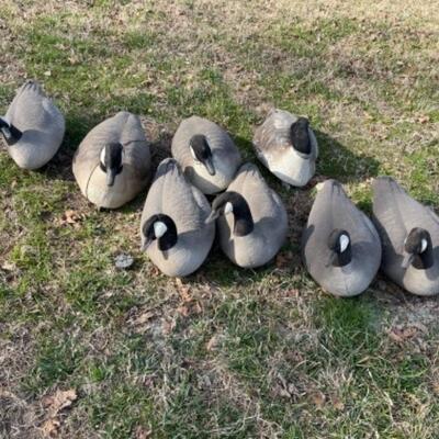 O640 set of 8 Plastic Weighted Floating Goose Decoys