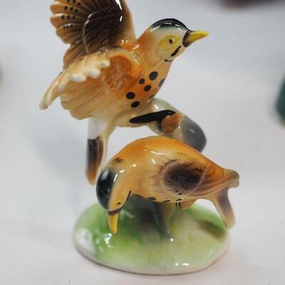 Lot 86 Peacocks and Ducks