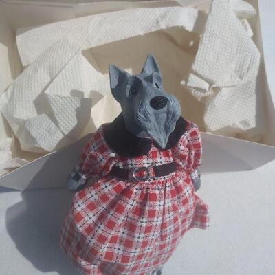Schnauzer dog