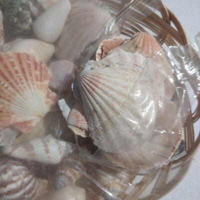 Open basket of shells