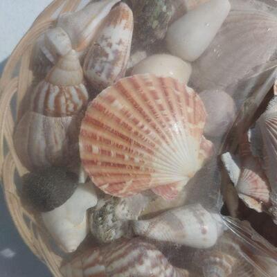 Open basket of shells