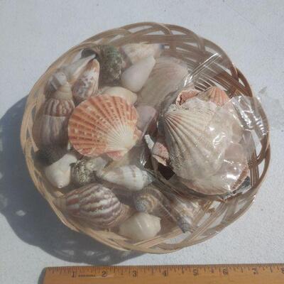 Open basket of shells